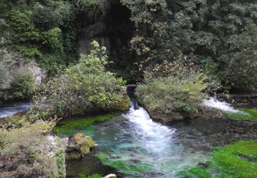 Randonnée Marche Fontaine-de-Vaucluse - PF-Fontaine-de-Vaucluse - Bondelon  - Photo