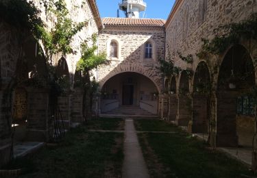 Percorso Marcia Pignans - Pignan Notre Dame des anges - Photo