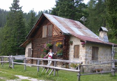 Tour Zu Fuß Pieve di Cadore - IT-350 - Photo