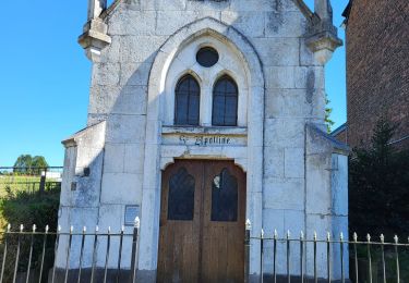 Tour Wandern Namen - Vedrin 100823 - Photo