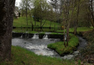 Trail Walking Saint-Angel - Fred st angel - Photo