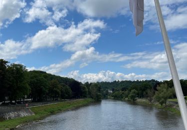 Excursión Senderismo Esneux - Boucle de l’Ourthe   par  l'extérieur  - Photo