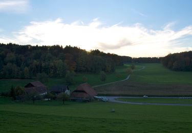 Randonnée A pied Kloten - Kloten - Pfungen - Photo