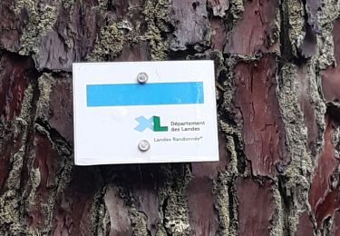 Trail Walking Mées - lp40_MEES Tourbieres le tour - Photo