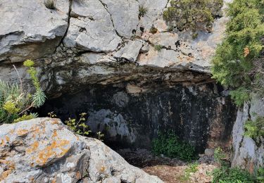 Trail Walking Mimet - le Baou traouca et la grotte des fées - Photo