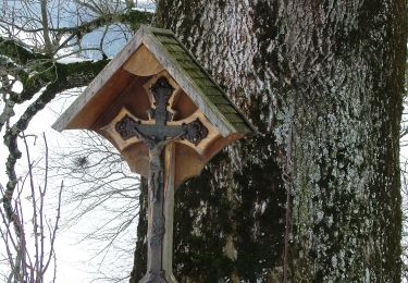 Percorso A piedi  - Mariaberg-Wanderung - Photo