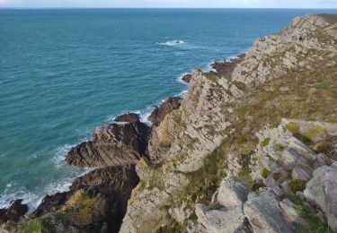 Trail Walking Erquy - Bretagne 2021 : Cap d'Erquy - Fosse Eyrand.ori - Photo