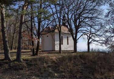 Tocht Te voet Mýto - [M] Mýto-Zbiroh - Photo