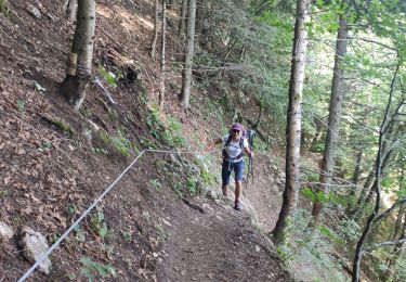 Tour Wandern Saint-Nizier-du-Moucherotte - le Moucherotte depuis Saint Nizier - Photo