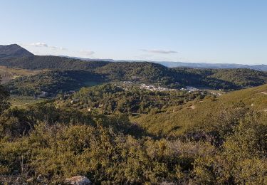 Excursión Senderismo Clermont-l'Hérault - La Ramasse - Photo