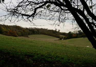 Tour Zu Fuß Reigate and Banstead - Chipstead walk (SCC) - Photo