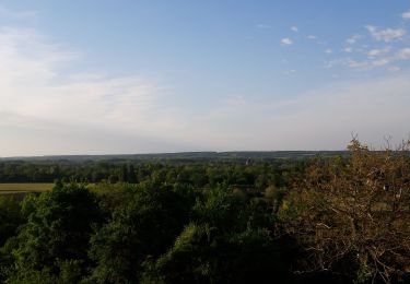 Tour Wandern Coteaux-sur-Loire - st Michel sur Loire  - Photo