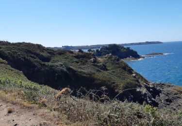 Randonnée Marche Cancale - CANCALE Le verger du guesclin - Photo