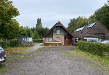 Excursión Senderismo Pelt - De Wulp Hageven Grote Heide 24 km - Photo