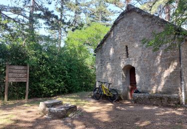 Excursión Bici de montaña Bédoin - Enduro les Pins Noirs - Photo