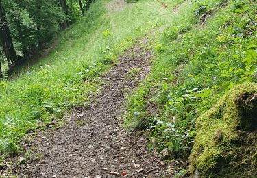 Tour Wandern Cauterets - Hostellerie de la reine Hortense et retour par Cancura - Photo