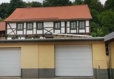 Percorso A piedi Ilsenburg - DE-gelbes Kreuz - Photo