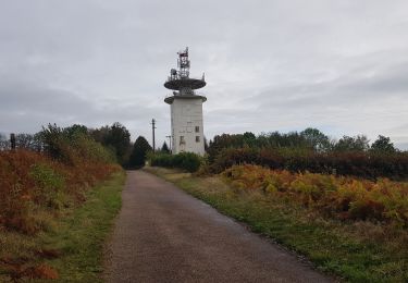 Trail Walking Brassy - Trek Morvan 2020 : Journée 3/5 - De Brassy a L'huis Prunelle - Photo