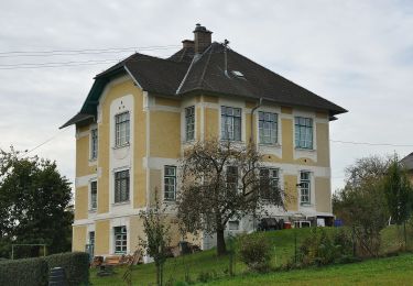 Randonnée A pied Hargelsberg - Ortschaftenweg - Photo