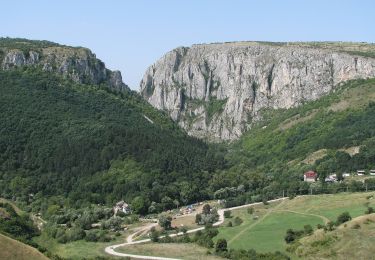 Excursión A pie Turda - Turda - Drumul Domnilor - Cabana Cheile Turzii - Photo