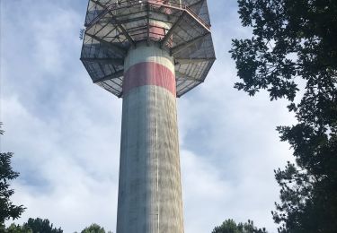 Excursión Senderismo Caubeyres - Antenne Caubeyres  - Photo