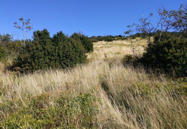 Tour Wandern Peyrus - pont des sarrasins, faucon, piaroux  - Photo