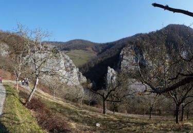 Percorso A piedi Pont-en-Royans - 24-FEV-19 - Photo