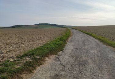Tour Wandern Wissant - Wissant Mont de couple retour plage - Photo