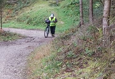 Trail Hybrid bike Gemeinde Natters - natterer  - Photo