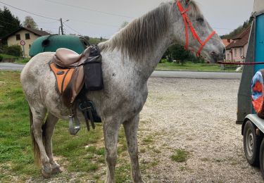 Trail Horseback riding Saint-Quirin - Dimanche 7 avril 24 kiboki  - Photo