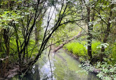 Trail Walking Waremme - La promenade du Wachnet à Waremme - Photo