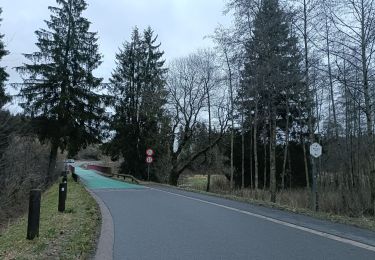 Tocht Stappen Bütgenbach - Lac Butenbach petite boucle sur une rive - Photo