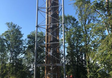 Tour Wandern La Tour-de-Sçay - La tour des bois par le chemin des éolienne  - Photo