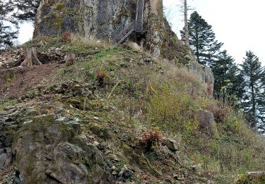 Tour Wandern Breitenbach - Col de la Charbonnière -Château de la Roche - Photo