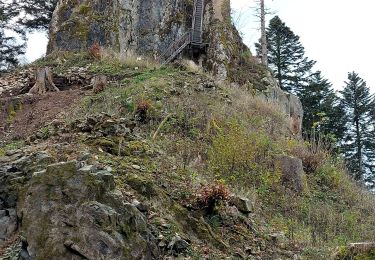 Percorso Marcia Breitenbach - Col de la Charbonnière -Château de la Roche - Photo