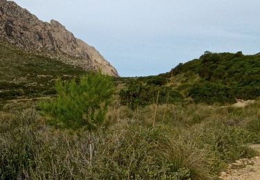 Trail Walking Pollença - cala boquer  - Photo