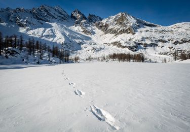 Randonnée A pied Ceresole Reale - IT-531A - Photo