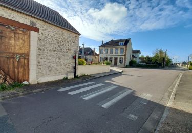 Tour Wandern Montacher-Villegardin - Montacher 240421 - Photo