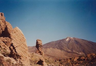 Randonnée A pied La Orotava - S-40 Llano de Ucanca-Boca Tauce - Photo