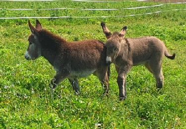 Trail Walking Orban - SityTrail - 3061378 - orban-chemin-des-cretes - Photo