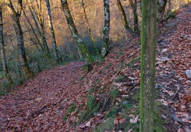 Trail Walking Rieupeyroux - rieupeyroux  petit parcours  - Photo