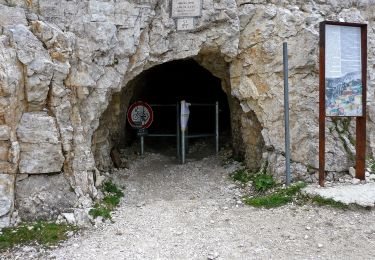 Trail On foot Posina - Val Sorapache - Photo