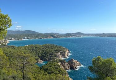 Tour sport Calvià - Cap d’andritxol - Photo