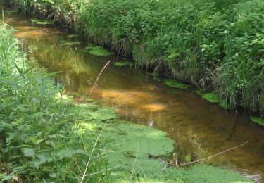 Randonnée Marche Poigny-la-Forêt - poigny la foret - Photo