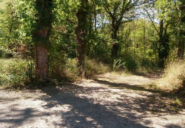 Tocht Noords wandelen Combronde - Combronde, Chauviat, les Reures - Photo