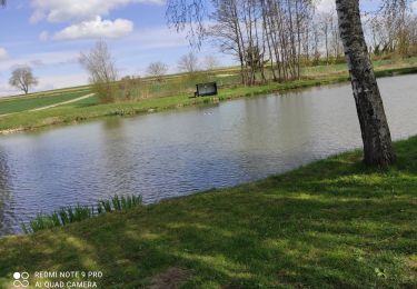Trail Walking Heimsbrunn - Heimsbrunn Froenîngen - Photo