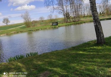 Percorso Marcia Heimsbrunn - Heimsbrunn Froenîngen - Photo