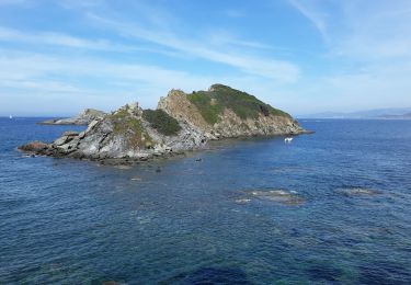 Tocht Stappen Hyères - Tour ouest de la presqu'île de Giens - Photo