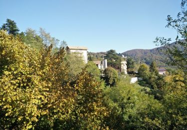 Tour Zu Fuß Campomorone - Busalla - Passo della Bocchetta - M. Leco - Photo