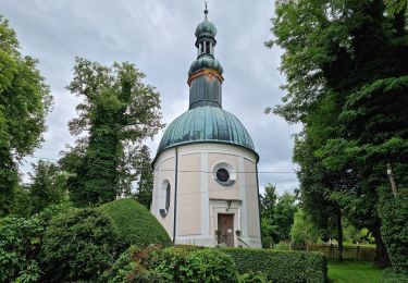 Tour Zu Fuß Röhrmoos - MVV Wanderweg Ring - Photo